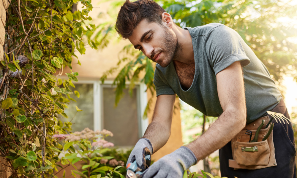 Como formalizar seu serviço de jardinagem_ Paso a passo para abrir seu negócio